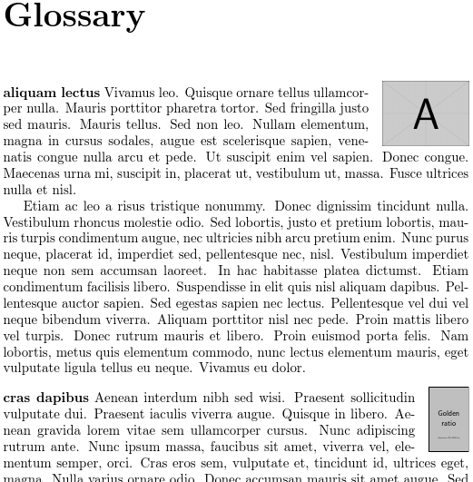 image of glossary with multiple paragraph descriptions containing an image inset on the right