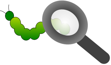 Image of magnifying glass over a green bug.