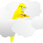 Image of Dickimaw parrot in clouds with some cookies and a hamburger